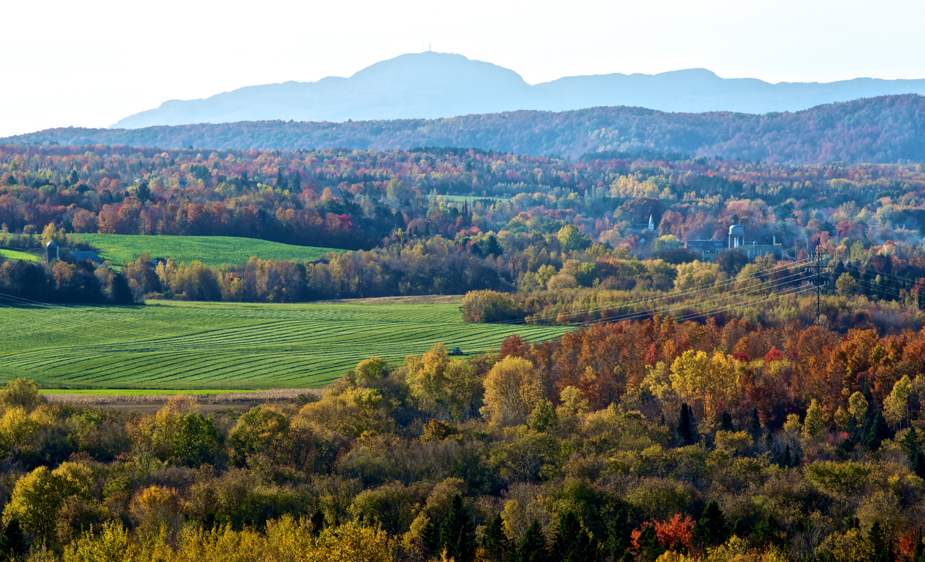 Top of Mount Hereford