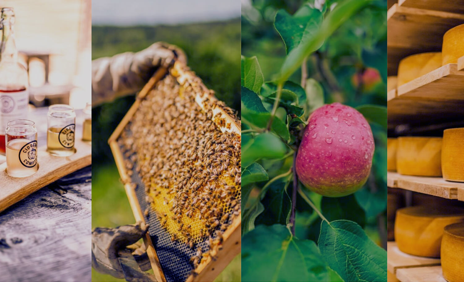 Agrotourisme  in the Coaticook Region