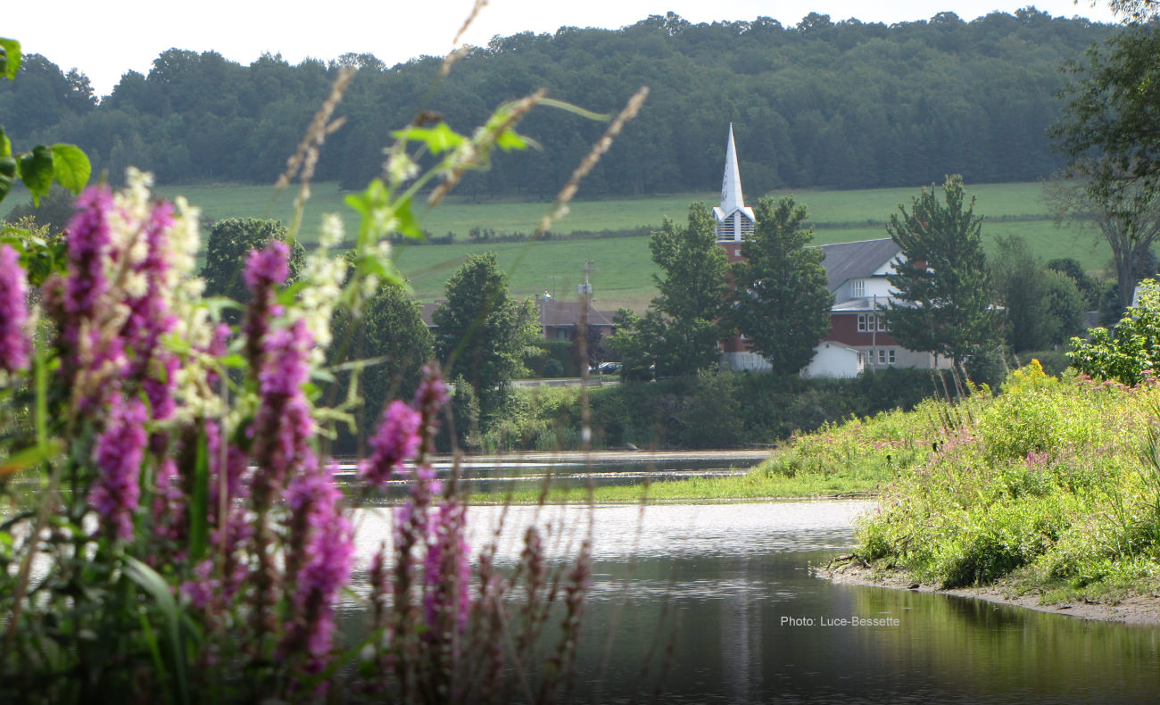 Martinville Municipality