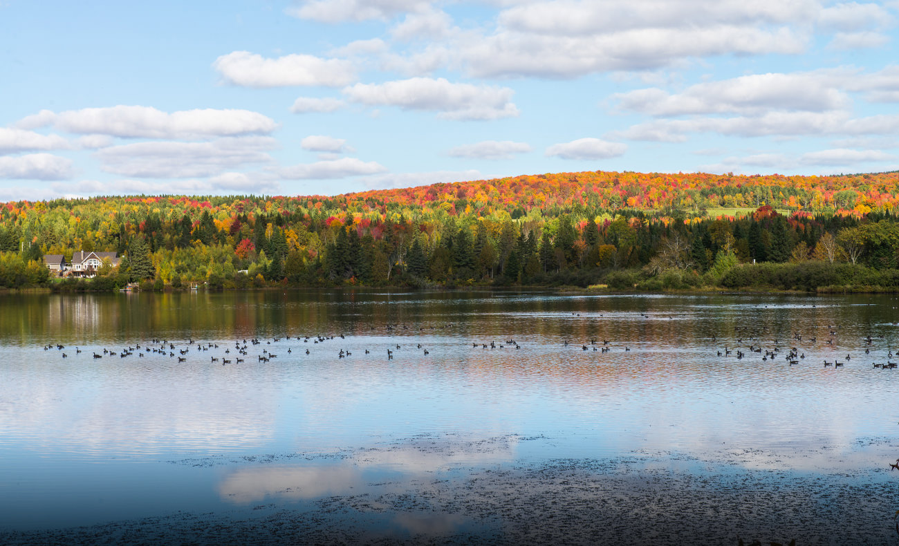 Saint-Malo Municipality